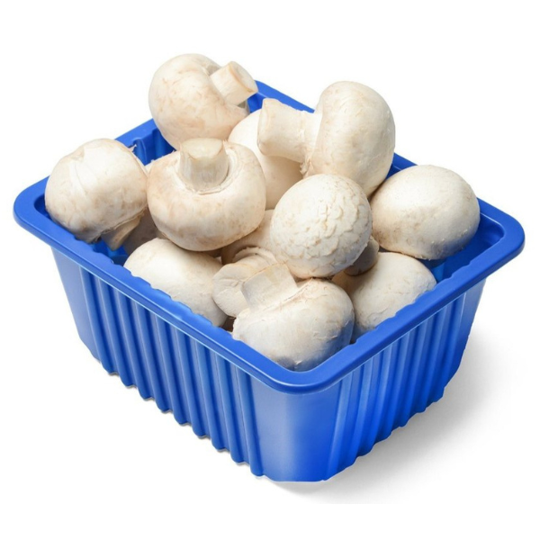 Fresh Mushroom 1 pack 