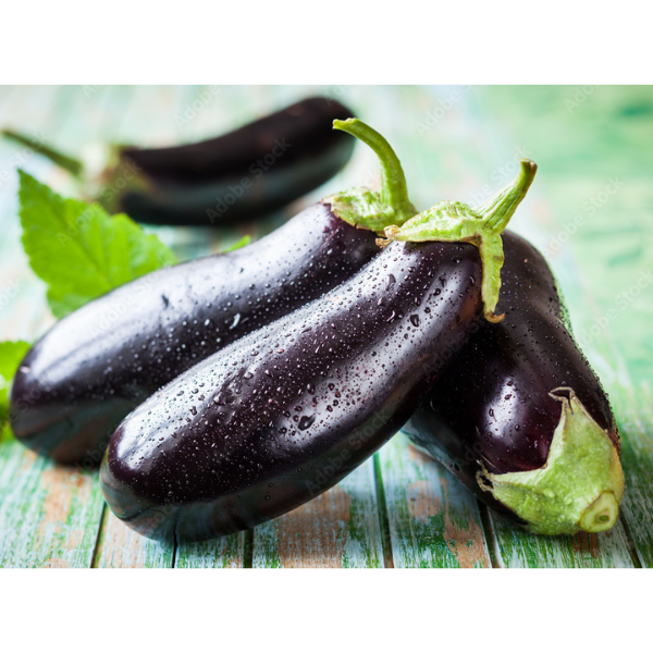 Fresh Brinjal 1 kg