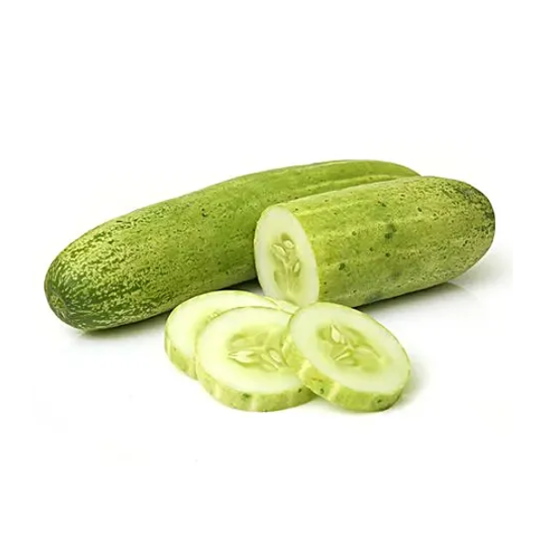 Fresh Cucumber (Kheera) 1kg
