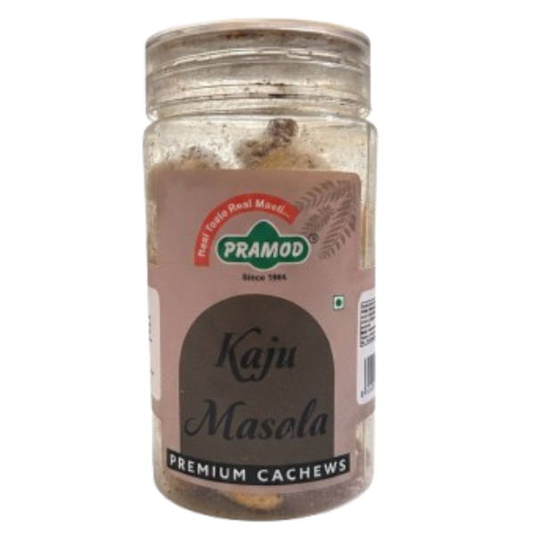 Pramod Kaju Masala 100g