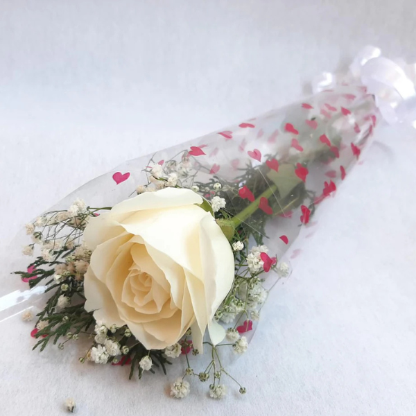White Rose Bouquet with Plastic Wrap 1 piece
